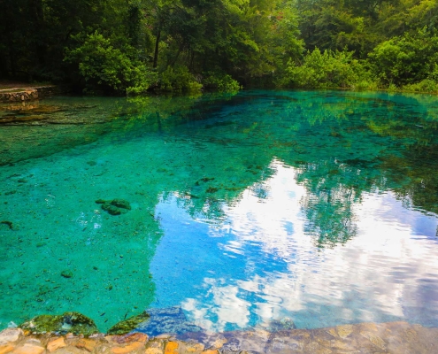 Minutes from the Gaineville and Alachua county area's beautiful outdoors